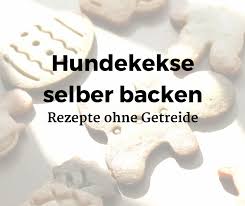 Hundekekse Selber Backen 6 Tolle Rezepte Ohne Getreide Hunde Kekse Rezept Hundekekse Hunde Kuchen