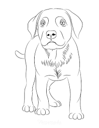 There is a long list of why dogs are such a wonderful companion to have, some of the reasons include their loyal nature, their loving disposition, and protective instincts. 95 Dog Coloring Pages For Kids Adults Free Printables