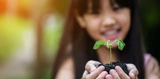 You reap what you sow