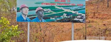 Image result for Inhambanella henriquesii