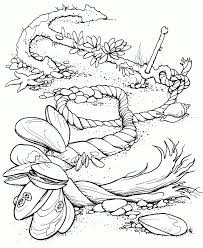 Have a blast coloring these ocean coloring pages! Ocean Coloring Pages For Adults Coloring Home