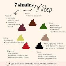 Image result for dark black stool human poop