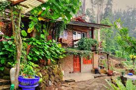 Nestled in the sierra mountains, the forest house delivers spectacular views designed by the genius of nature. Get A Little Piece Of Paradise At Forrest House Bukit Tinggi Your Sanctuary In The Forest Klnow