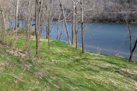 Image result for , I walk to the river’s edge.