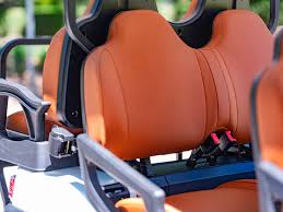 New 2025 ICON Electric Vehicles PURE EV P60, Willis TX | Specs, Price, Photos | Sky Blue