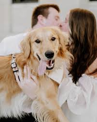 Ana Pierson Photography added a...