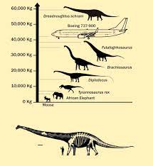 Astronomii au descoperit o pitică albă care este doar puțin mai mare decât luna în diametru, însă are o masă de 1,3 ori mai mare decât cea a soarelui. A Fost Descoperit Cel Mai Mare Dinozaur Care A TrÄƒit VreodatÄƒ CantÄƒrea Mai Mult Decat 10 ElefanÅ£i La Un Loc