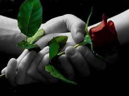 28 просмотров 1 год назад. Beautiful Love Flowers Home Facebook