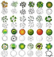 A Treetop Symbols For Architectural Or Landscape Design Wall Sticker Wall Stickers Eskizy Derevev Risunki Landshaft Arhitekturnye Eskizy