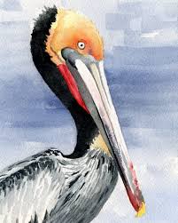 Pelican Art Print Signed By Artist Dj Rogers Home Decor Pelican Art Fly Fishing Art Animal Art