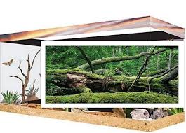 Image result for Terrarium Cling Background