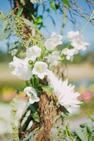 Previous reviews are not based on current product and staff. Brittany Andrew Berkeley Hall Wedding A Lowcountry Wedding Blog Magazine Charleston Savannah Hilton Head Myrtle Beach