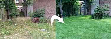 Zum einen unbebaute grundstücke, die mit einer klaren vision. Gartengestaltung Im Grossraum Langenfeld Rheinland