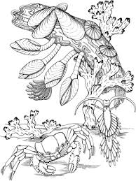 Schultuete bild zum ausmalen ausmalbild malvorlage herbst blatt vorlage mini schultüten selber basteln sie schwebt über einer riesigen muschel die mit unterwasserpflanzen und korallen gefüllt ist die. Pin Auf A Sea Water