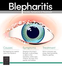 Image result for Blepharis bainesii