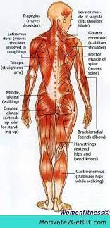 Several issues, such as injury or overuse. Pin On Workout Plans