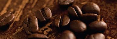 Nescafe coffee machine price in kolkata city photography career. Coffee Vending Machine Espresso Coffee Machine Cafe Coffee Day