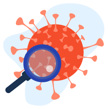 All About Human Papillomavirus What It Is Its Causes And Prevention