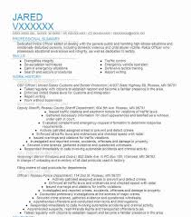 cbp officer resume example officer