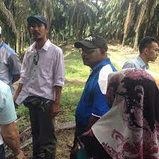 Smk puncak alam 3 1.3 apk description. Smk Puncak Alam 3 School