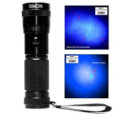 Scorpion Flashlight Hunting Tips For Desert Living