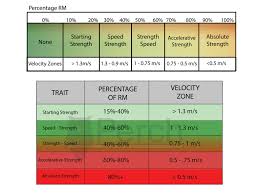 perch periodization and programming with vbt