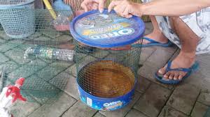 Kayu yang anda pilih untuk membuat sangkar harus sangat keras, seperti kayu lapis, dan pagar dari kawatnya tidak boleh dicat, tetapi harus ditempelkan dengan lapisan piring listrik. Cara Membuat Sangkar Burung Dari Kaleng Bekas Biskuit Diy Making Bird Cage From Biscuit Can Youtube