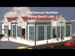 Hammammoo walaloo miidhagaafi ergaa guddaa of. Walaloo Dr Zelalem Abera Download Dr Zelalem Abera Mp3 Download