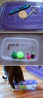 Beschaftigung Fur Katzen Diy Storage Containers Beschaftigung Containers Diy Fur Katzen Storage Diy Cat Toys Cat Puzzle Homemade Cat Toys