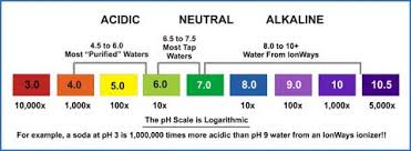 Ph Levels And Balance Old Saratoga Inc