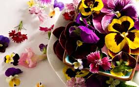 Όλα όσα πρέπει να γνωρίζετε για τα βρώσιμα λουλούδια - InKefalonia