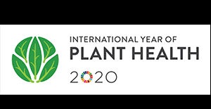 Health 2020 elaborates a vision of public health as a dynamic network of stakeholders at all levels of society and aims to support action with unity of purpose across the region. Aiph International Plant Health Conference Aiph