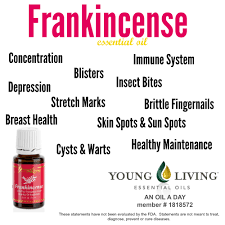 Uses For Young Living Frankincense Essential Oil An Oil A Day