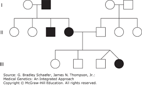 family history and pedigree analysis medical genetics an