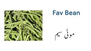 Vegetable Names In English And Urdu With Pictures Download Pdf Name Of Vegetables Vegetables Vegetables Names With Pictures