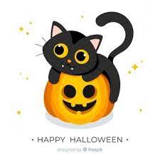 Halloween Baby Cat Background Cat Background Baby Halloween Halloween Items