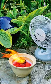 Tischfeuer Selbst De