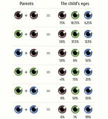 All About The Human Eye Color Chart Eye Color Chart Baby