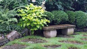 From Heaven Is A Garden Lemon Daddy Hydrangea Buy The Garden Design Book Here Https Www Amazon Com Heaven Garden De Cool Plants Pool Landscaping Plants