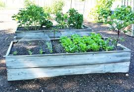 Good luck, have fun, pat. Raised Bed Gardening For Beginners Planning Building Soil Planting