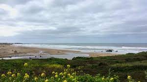 Visitors to engage in active recreation only. Gazos Creek State Beach At Stock Footage Video 100 Royalty Free 27021421 Shutterstock
