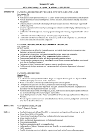 Assistant director of patient care. Patient Care Director Resume Samples Velvet Jobs