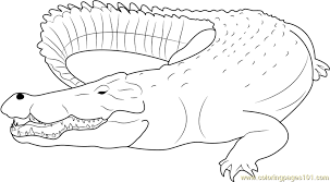 Print, color and enjoy these crocodile coloring pages! Saltwater Crocodile Coloring Page For Kids Free Crocodile Printable Coloring Pages Online For Kids Coloringpages101 Com Coloring Pages For Kids