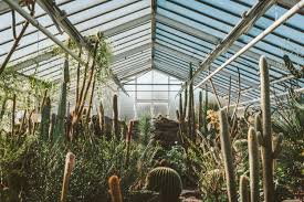 Botanischer garten münchen seit 1914 ist der botanische garten in nymphenburg zu hause schon seit 1809 gibt es einen botanischen garten in münchen. Sonntagsausflug Ab In Den Botanischen Garten Munchen Neoheimat