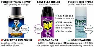 Failing to treat all of the areas will likely lead to treatment failure. How To Kill Fleas Quickly Top 12 Best Flea Sprays Traps And Foggers Bombs
