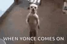 Weekend Dog Meme Gifs Tenor