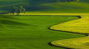 We did not find results for: 1080p Hd Image Nature Pixelstalk Net