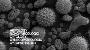 Since there is a limited overview on the healthcare in myanmar, this article briefly describes the. N Health Myanmar Youtube