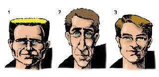 LUCIANA DORIA RAMOS MARIANA CARDOZO SEVERO AVALIAÇÃO DA PREVALÊNCIA DO TIPO  DE CRESCIMENTO CRÂNIO FACIAL NAS DIFERENTES MÁ