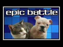 Americas Funniest Home Videos Part 100 Best Clips From Parts 1 Through 99 America S Funniest Home Videos Funny Home Videos America S Funniest Home Videos